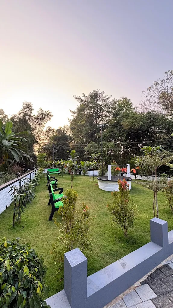 Beautiful Lawn